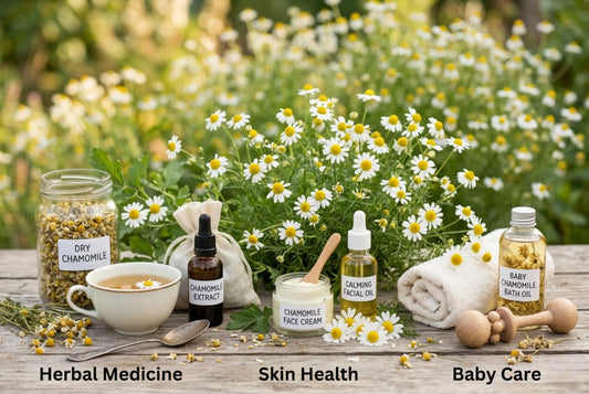 Therapeutic Applications of Chamomile: A Natural Approach to Skin Health, Baby Care, and Herbal Medicine